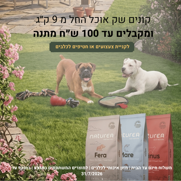 1111Copy of מובייל