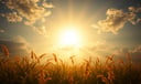 Summer dream symbol meaning - Symbol of fullness, illumination, and the fleeting apex of life's cycles.