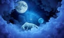 Dying Animal dream symbol meaning - Symbol of loss, transformation, and neglected instincts.