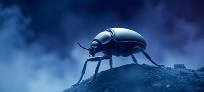 Dream symbol: Beetle