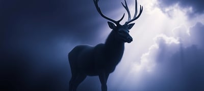 Dream symbol: Deer