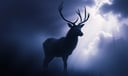 Deer dream symbol meaning - Symbol of gentleness, intuition, and spiritual longing.