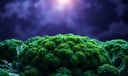 Broccoli dream symbol meaning - Symbol of nourishment, discipline, and holistic growth.