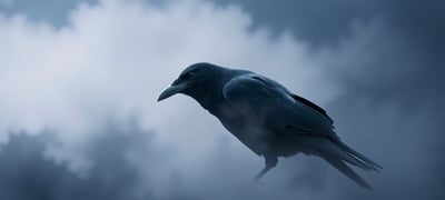 Dream symbol: Crow