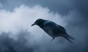 Crow dream symbol meaning - Symbol of shadow, transformation, and messages from the unseen.