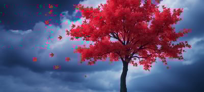 Dream symbol: Maple Tree