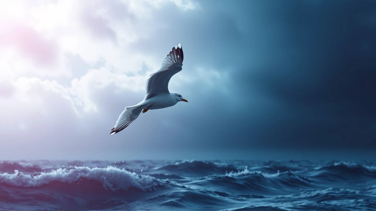 Symbolic dream image: Seagull