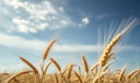 Barley dream symbol meaning - Symbol of nourishment, latent potential, and spiritual renewal.