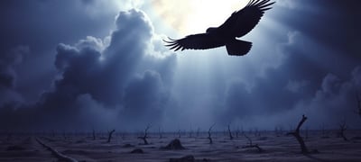 Dream symbol: Vulture