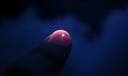 Fingernail dream symbol meaning - Symbol of boundaries, self-care, and hidden anxieties.
