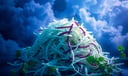 Coleslaw dream symbol meaning - Symbol of unity, integration, and humble nourishment.