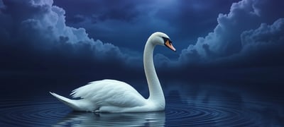 Dream symbol: Swan