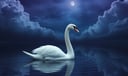 Swan dream symbol meaning - Symbol of purity, metamorphosis, and soulful union.
