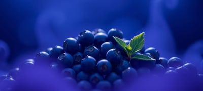 Dream symbol: Blueberry