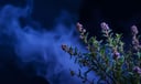 Oregano dream symbol meaning - Symbol of purification, comfort, and subtle transformation.
