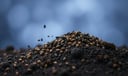 Cumin dream symbol meaning - Symbol of subtle power, mindful diligence, and the sacred in the ordinary.