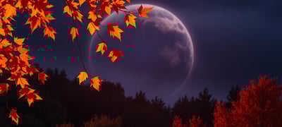 Dream symbol: Autumn