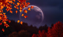 Autumn dream symbol meaning - Symbol of transition, harvest, and impermanence.