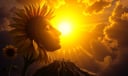 Sunflower dream symbol meaning - Symbol of spiritual devotion, optimism, and the soul’s quest for illumination.