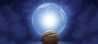 Dream symbol: Walnut