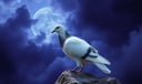 Pigeon dream symbol meaning - Symbol of humble resilience, spiritual messages, and the tension between belonging and solitude.