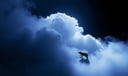 Small Animal dream symbol meaning - Symbol of innocence, humility, and the sacredness of the overlooked.