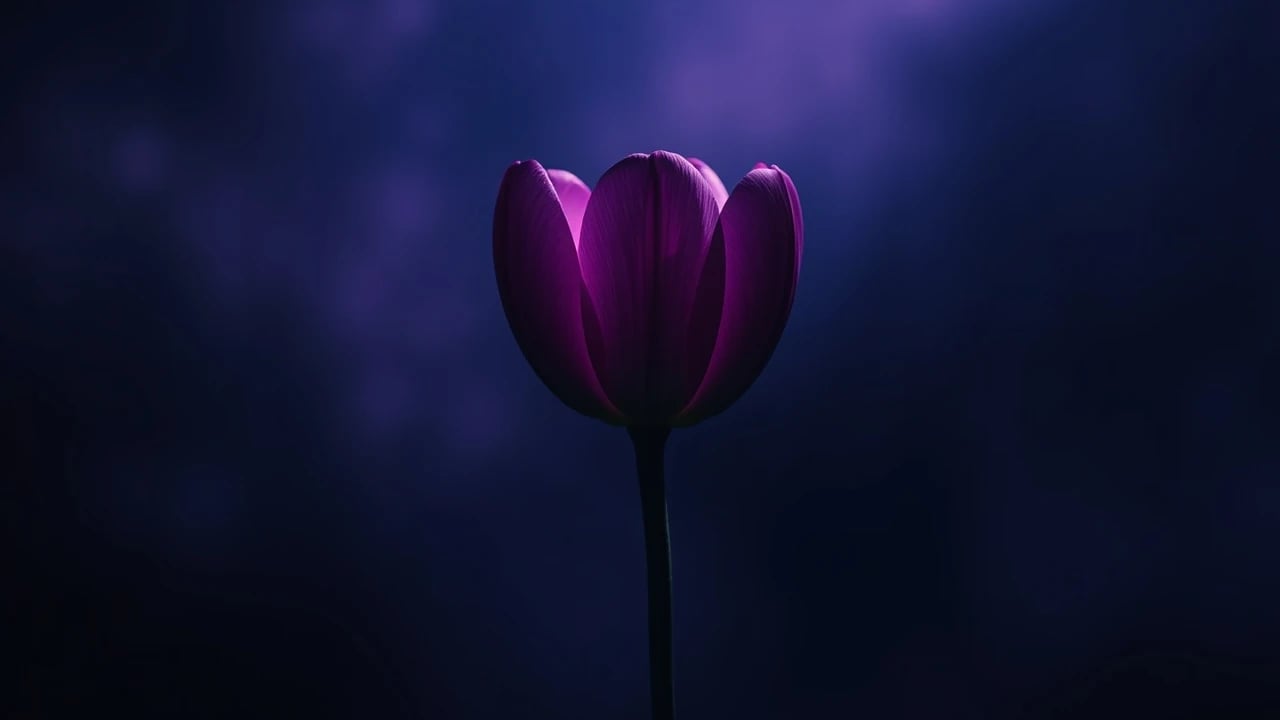 Symbolic dream image: Flower