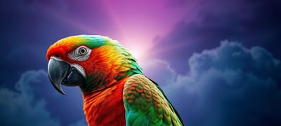 Dream symbol: Parrot