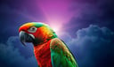 Parrot dream symbol meaning - Symbol of mimicry, authentic expression, and the tension between freedom and restriction.
