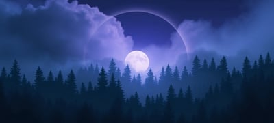 Dream symbol: Forest