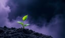 Plant dream symbol meaning - Symbol of growth, renewal, and the soul’s unfolding.