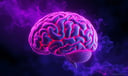 Brain dream symbol meaning - Symbol of intellect, consciousness, and inner transformation.
