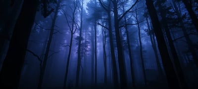 Dream scenario: Lost in the Forest