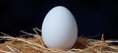 Dream symbol: Egg