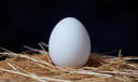 Egg dream symbol meaning - Symbol of latent potential, spiritual birth, and the fragile threshold between worlds.