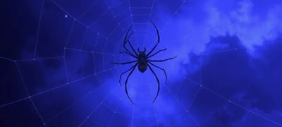 Dream symbol: Spider