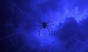 Spider dream symbol meaning - Symbol of fate, illusion, and creative entanglement.