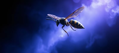 Wasp