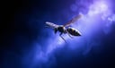 Wasp dream symbol meaning - Symbol of adversity, hidden aggression, and transformative resilience.