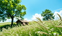 Breeze dream symbol meaning - Symbol of subtle transformation, spiritual breath, and unseen guidance.