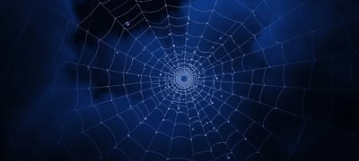 Dream symbol: Spiderweb
