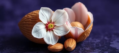 Dream symbol: Almond