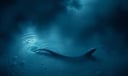 Eel dream symbol meaning - Symbol of hidden energies, elusive emotions, and spiritual transformation.
