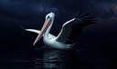 Pelican dream symbol meaning - Symbol of self-sacrifice, spiritual nourishment, and resurrection.