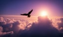 Bird dream symbol meaning - Symbol of transcendence, freedom, and the soul’s journey.