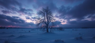 Dream symbol: Winter