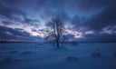 Winter dream symbol meaning - Symbol of hardship, introspection, and the promise of renewal.