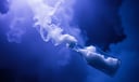 Ejaculation dream symbol meaning - Symbol of release, potency, and the threshold between desire and transformation.