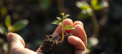 Dream symbol: Abortion