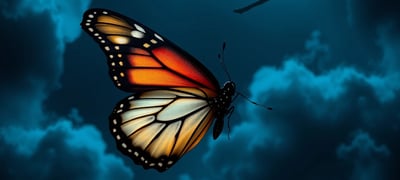 Dream symbol: Butterfly